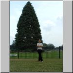 Daria with the Whitehouse Xmas Tree