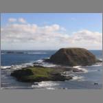 Seal Rocks, bare of seals