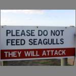 The Aussies can be pretty blunt