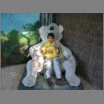The biggest koala we saw that day