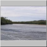 A look at the backwaters