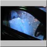 An SUV converted to an aquarium