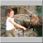 Smart seals...