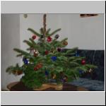 Our Christmas tree...
