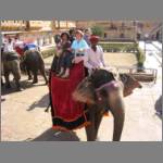 Our elephant