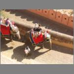 Touts and hawkers are everywhere!