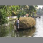 Boats are to allepy what camels are to Rajasthan