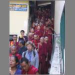 A whole lotta monks