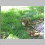 Cal provides a great squirrel experience