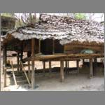 Bananaleaf House -- raised so animals can be kept below