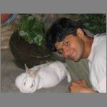 Miss Julie, pet rabbit at Nice Apartment Guesthouse