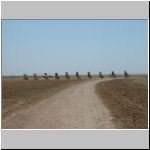 Cadillac Ranch as seen from the road