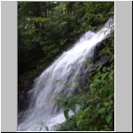 Cascades